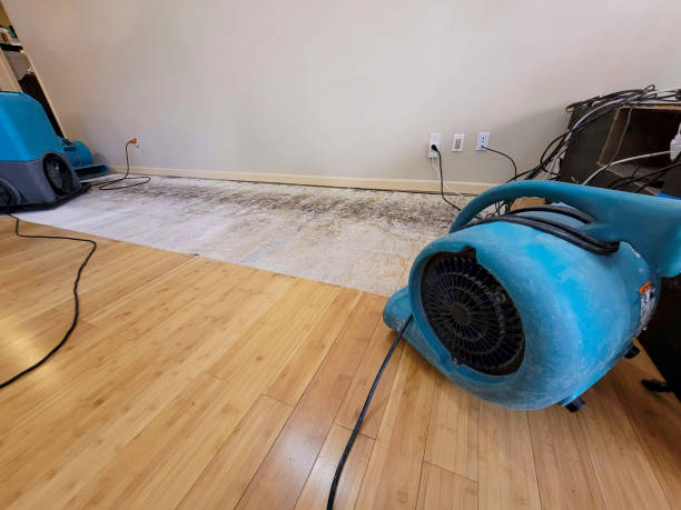 Professional Structural Drying technician working in Trimble, MO